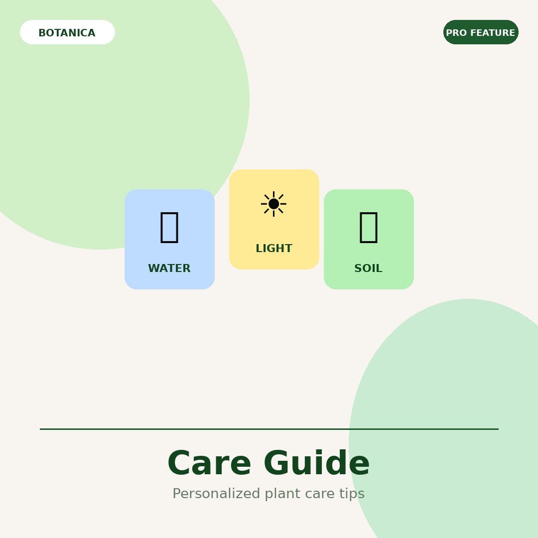 BOTANICA: Your Plants, Identified Instantly | Orynth
